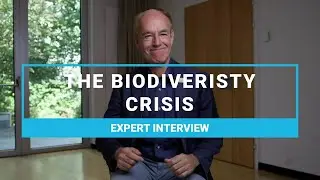 An Expert&rsquo;s Interview | Marco Lambertini | Nature Positive Initiative | The Ripple Effect