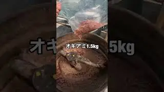 安くて釣れる撒き餌の作り方　#フカセ釣り #コマセ #チヌ釣り
