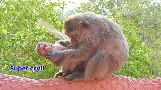 Baby Milo screaming extremely loud this morning - Emila she feel very hassle when Milo stay in front