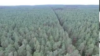 Royalty Free Aerial View Over The Forest 6 Stock Video Footage Clip
