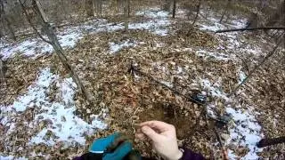 Металлоискатель на участке 1800-х годов с Garrett AT Pro Indian Head Penny и Colonial Hoe