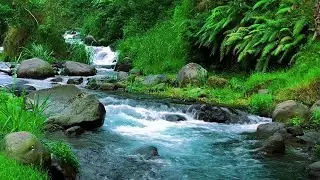 10 Hours Clear River Flowing Through Deep Forest | Natural Stress Relief, No AI
