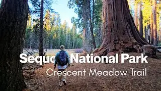 Crescent Meadow Trail | Sequoia National Park | Walk With Me