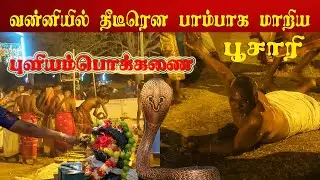 திடீரென பாம்பாக மாறிய பூசாரி | புளியம்பொக்கணை மடப்பண்டம் எடுத்தல் | குவிந்த பக்தர்கள்