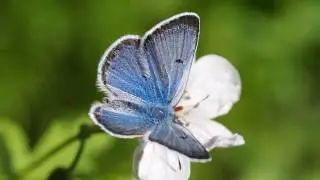 Simple Living with Spirit - Holy Spirit Autopilot &ndash; The Simplicity of Living with Spirit - ACIM