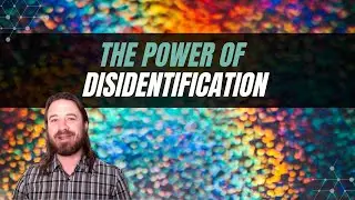 The Power of Disidentification