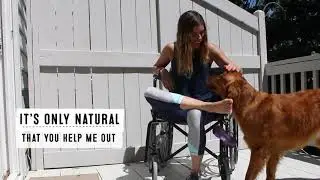 Naturo Pet Foods - It&rsquo;s only natural
