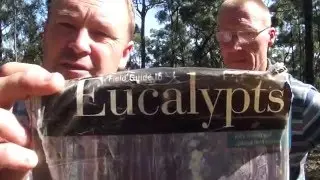 Finding and Identifying Australian Floral resources for Honeybees (SHOTGUN METHOD)
