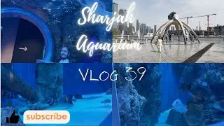 TOP PLACE TO VISIT IN SHARJAH - SHARJAH AQUARIUM 2024 VLOG 39