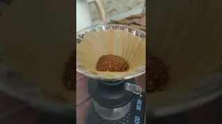 tentang Hasil Sangrai Kopi Excelsa Kasembon Kami