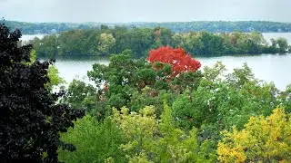 Were U Wondering why leaves change color in the fall?