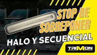 STOP DE SOBROPONER HALO Y SECUENCIAL✨ | TRIMON