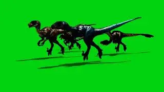 Green Screen effects dinosaur  I vfx footages I animals green screen I chroma key