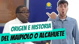 ''ORIGEN E HISTORIA DEL MAIPIOLO O ALCAHUETE'' / 📖 Aprendo con Rafael