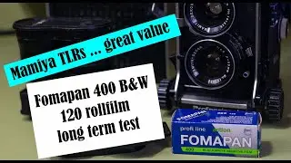 Mamiya TLR value for money ... and Fomapan 400 test
