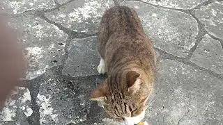 むんむん👅