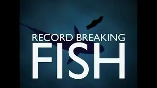Record Breaking Fish - Chub & Pike Fishing - Dorset Stour Throop - Matt Hayes