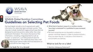 Do the WSAVA Questions Actually Evaluate a Pet Food Company?