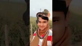 snec o o ha #viralshorts #trending #viral #short