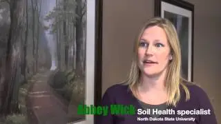 Compaction and Cover Crops