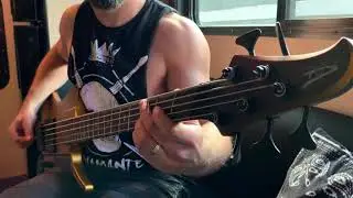 Dingwall Guitars D Roc Demo by Matthew Dennis