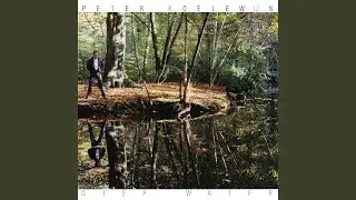 Het Gaat Nooit Over (Remastered)
