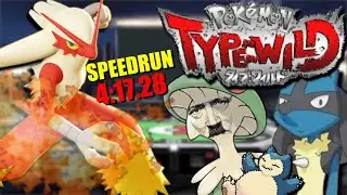 Pokemon Type Wild - Blaziken SpeedRun - Single Battle Easy - 4:17.28 World Record