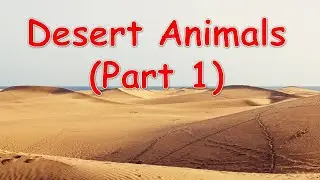 Types of Desert Animals Part 1