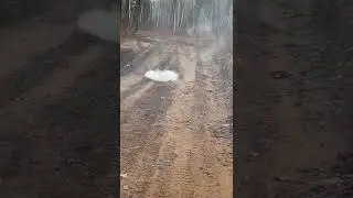 Real M80 - #fireworks #pyro #viral #m80