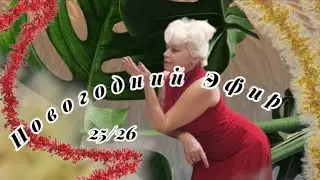 С НОВЫМ ГОДОМ, С НОВЫМ СЧАСТЬЕМ🍓