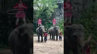 Part 2: in Bangkok Safari Dancing with Hula Hoop 😍😍2021