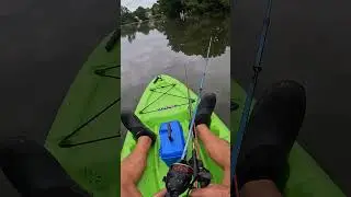 First Cast - Chain Pickerel #fishing #pov #kayakfishing #freshwaterfish
