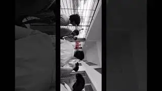 behari 🗿...#youtubeshort #attiudevideo #aura 999#likesharecomment #fyu .#shorts
