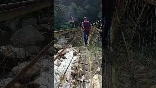 Hanging Bridge #shorts #hangingbridge