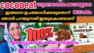 cocopeat/ചകിരിച്ചോർ ചെടികളെയും കൃഷിയെയും നശിപ്പിക്കുന്ന വില്ലനാകാതിരിക്കാൻ #cocopeat