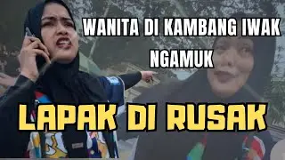 Aksi Wanita Rusak Lapak Pedagang Bikin Warganet Geram