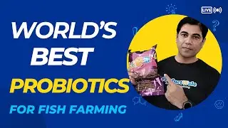 Worlds Best Probiotics For Fish Farming
