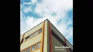 Markus Quittner - Gamechanger (Peletronic's Acid Trip)