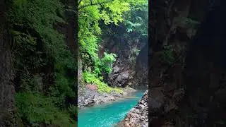 Relaxing ASMR  #4kforest #4knature #waterfall
