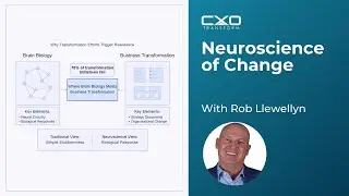 The Neuroscience of Organisational Change: Why Transformation Efforts Trigger Resistance