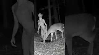 Spooky Trail Camera Video 😱 #spooky #video #2026 #2027 #shortsfeed #creepypasta #creepy #horror