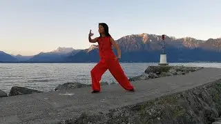 Taiji style Yang, Forme Fanny