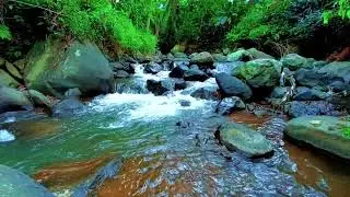Calming River ASMR &ndash; Flowing Water for Better Sleep, Focus & Relaxation