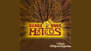 Los Chinelos