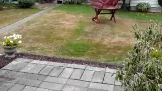 2001 E. Division St. Mount Vernon, WA 98273