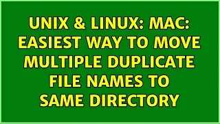 Unix & Linux: Mac: easiest way to move multiple duplicate file names to same directory