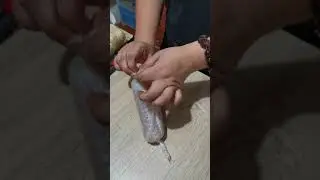 Rolling Fish Fillet for Fish Roulade
