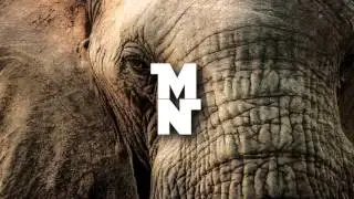 Keku & Hydrojaxx - Elephant (Original Mix) [Hard House]