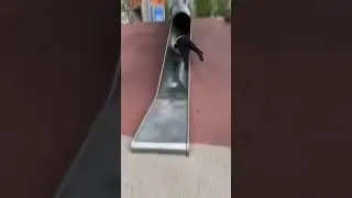 Slide cop Slow-Mo - Ave Maria