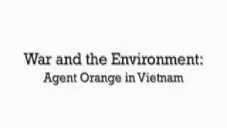 War and the Environment